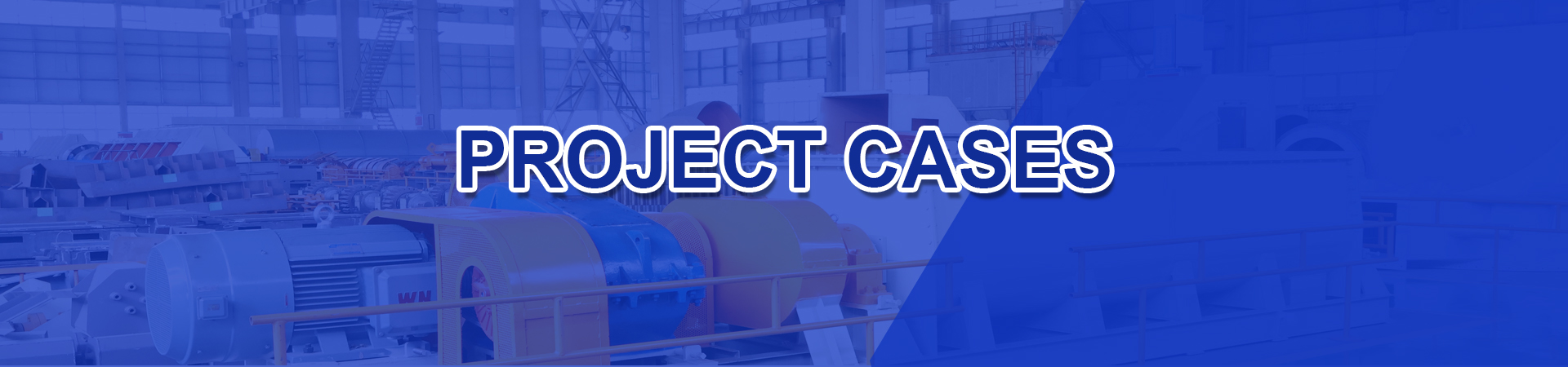 Project cases